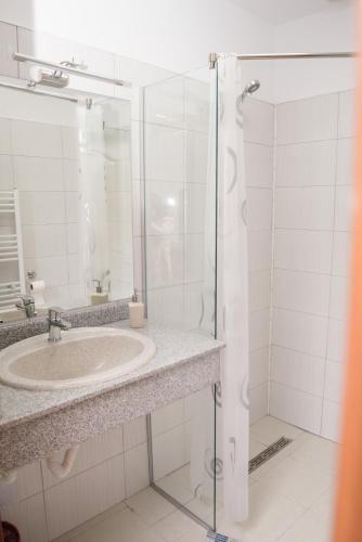 a bathroom with a sink and a glass shower at VILA SILFAR in Măcin