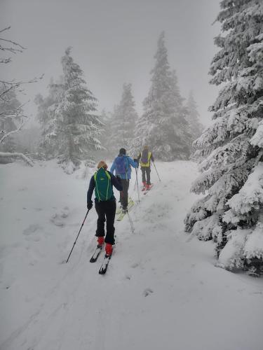a group of people cross country skiing in the snow at Chopina 6 na zielonym wzgórzu in Jedlina-Zdrój