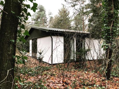 a small house in the middle of a forest at huis op de veluwe in Nunspeet