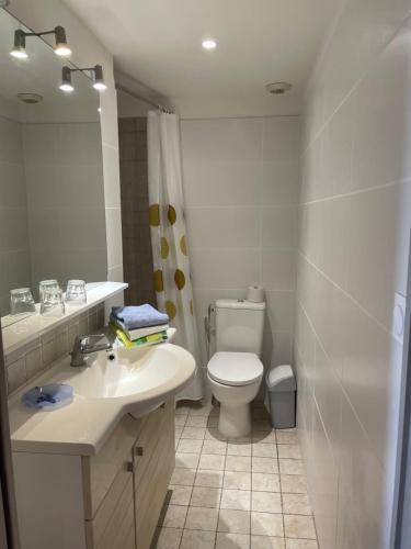 ein weißes Bad mit einem WC und einem Waschbecken in der Unterkunft Alexandre in Nizza