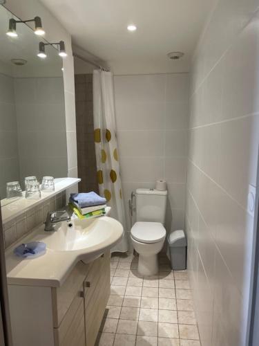 une salle de bain blanche avec des toilettes et un lavabo dans l'établissement Alexandre, à Nice