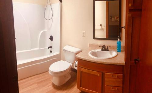 een badkamer met een wit toilet en een wastafel bij Your Downtown Rapid City Base Camp! in Rapid City