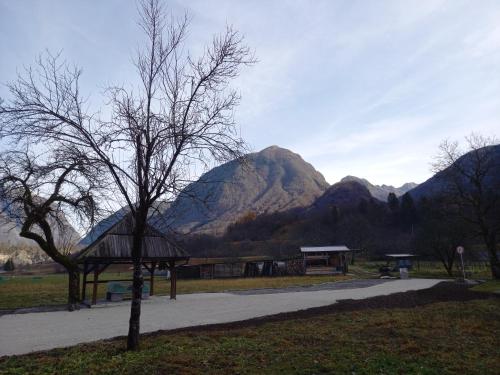 a building with a tree and mountains in the background at Guest house Vila Korošec in Bovec