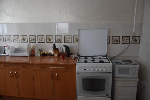 a kitchen with a stove and a microwave at Svitlyachok in Yaremche