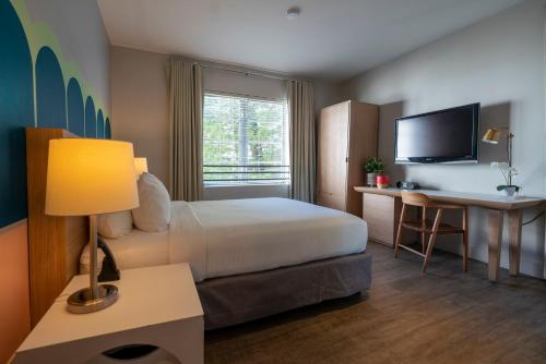 Habitación de hotel con cama, escritorio y TV. en Viajero Miami, en Miami Beach