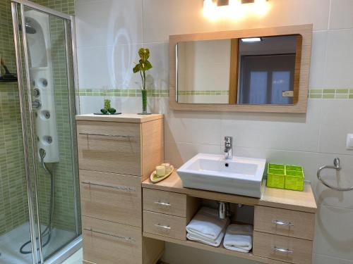 y baño con lavabo y ducha. en Apartamentos Alcañiz, Deluxe, en Alcañiz