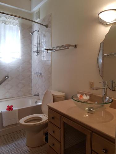 a bathroom with a toilet and a sink and a tub at Sea View Suites in Placencia Village