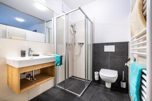a bathroom with a shower and a sink and a toilet at WiWa Appartement in Flachau