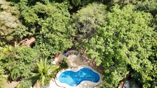 an overhead view of a lake in the middle of a forest at Massai Apartments in Playa Flamingo