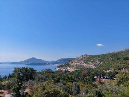 Imagine din galeria proprietății Sunny Side Vala în Budva