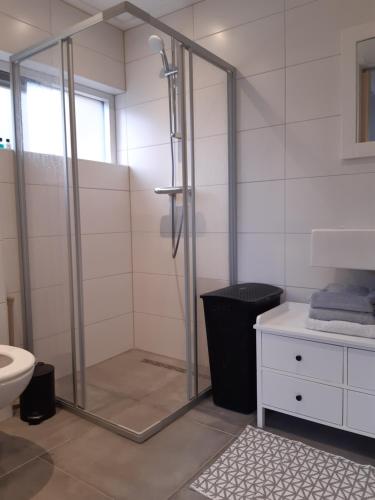 ein Bad mit einer Dusche, einem WC und einem Waschbecken in der Unterkunft Vakantiehuis aan het Bos - langs de Tulpenroute! in Bant