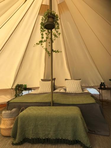 duas camas numa tenda com uma árvore em Glamping och Gårdslägenhet Mellan himmel och hav em Skivarp