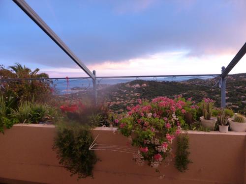 a group of potted plants on a balcony with a view at NOUVEAU ! Chambre d'Hôte Insolite PRIVEE " CŒURS DE PIRATES à BALI EN PROVENCE" SPA SAUNA MASSAGES dans cadre EXOTIQUE d'Aménagements EXTÉRIEURS D'EXCEPTION ÉTÉ comme HIVER BIENVENUE !!! in Cavalaire-sur-Mer