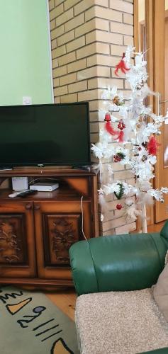 a living room with a christmas tree and a television at Kraljevi Konaci Olja in Zlatibor