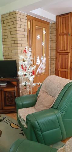 a living room with a green couch and a christmas tree at Kraljevi Konaci Olja in Zlatibor