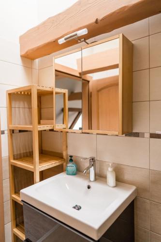 a bathroom with a sink and a mirror at Na Kopečku AD 1795 - penzion s restaurací a wellness v Podkrkonoší in Dvůr Králové nad Labem
