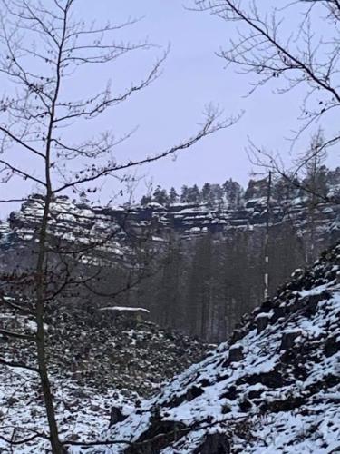 a snow covered hill with trees in the background at Mezná 85 in Hřensko