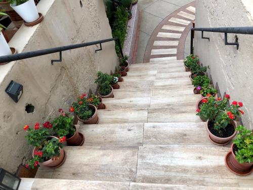 a stairway with potted plants on the side of a building at Quito Terrace in Quito