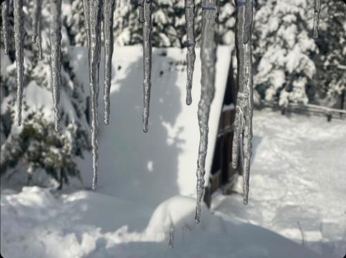 a bunch of icicles hanging from trees in the snow at Vikendica Tarsko srce S in Mitrovac