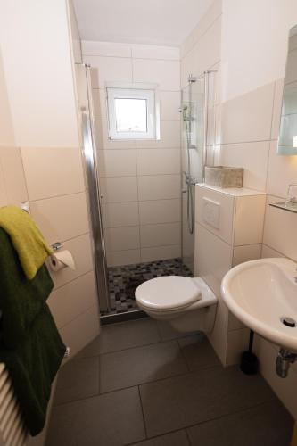 a bathroom with a shower and a toilet and a sink at Landhaus am Itterbach Willingen in Willingen