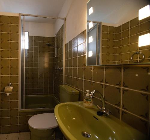 a bathroom with a green sink and a toilet at Landhaus am Itterbach Willingen in Willingen