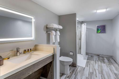 a bathroom with a sink and a toilet at Best Western Plus Apple Valley Lodge Pigeon Forge in Pigeon Forge