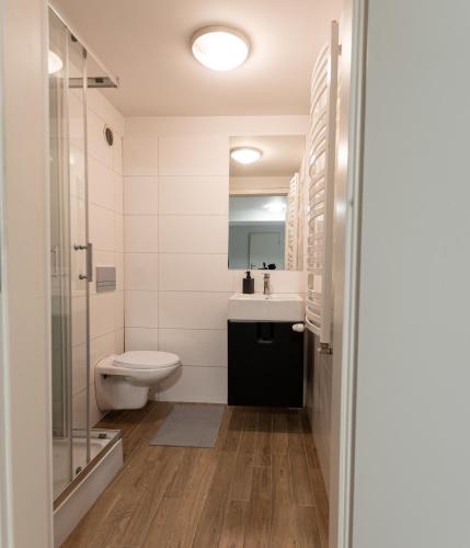 a bathroom with a toilet and a sink and a shower at Apartament Krakowska in Częstochowa