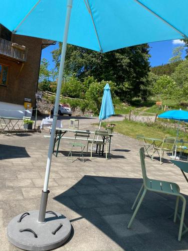 a blue umbrella with a green chair and tables and benches at Sporthostel Rössle in Schluchsee
