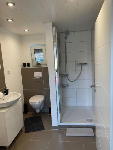 a bathroom with a shower and a toilet at Pfalzkinder in Neustadt an der Weinstraße