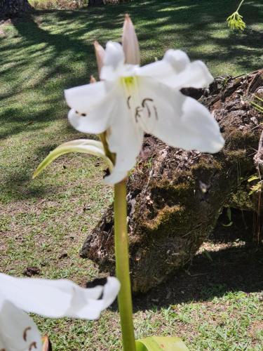 Recanto Das Borboletas – Photos 3