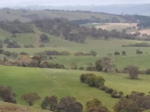 an aerial view of a green field with trees at Belle Vista in Wirrina Cove