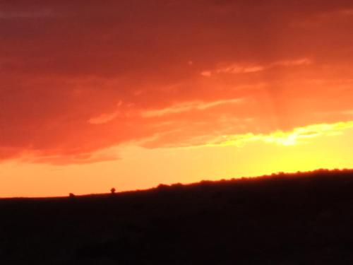 a sunset over a field with a red sky at Belle Vista in Wirrina Cove