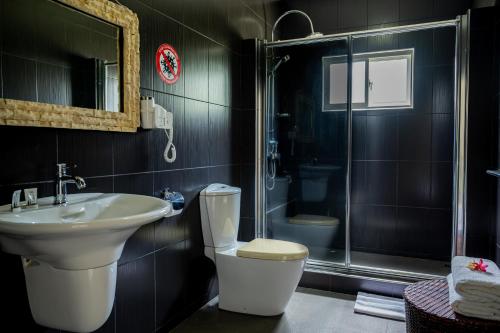 a bathroom with a toilet and a sink and a shower at Tranquility villa in Baie Sainte Anne