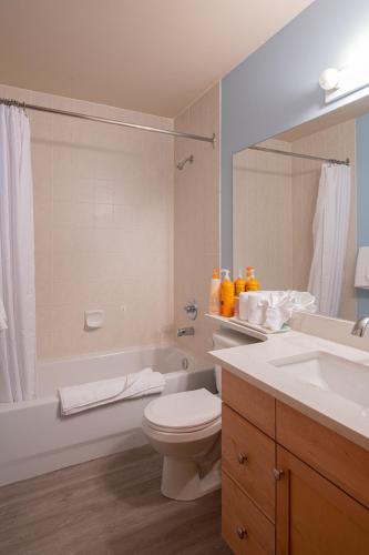 a bathroom with a toilet and a sink and a mirror at Top Floor Condo - 2BR & AC with Mountain Views in Canmore