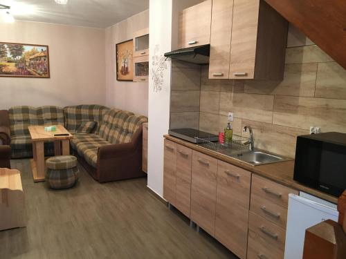 een keuken en een woonkamer met een bank en een wastafel bij Nocowanie w młynie in Niedzica