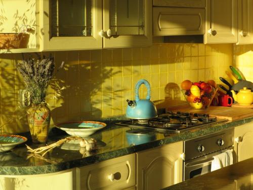 La cocina está equipada con fogones y hervidor de agua con té azul. en Prime and Exclusive Seafront Location Apartment Sunset, en Trpanj