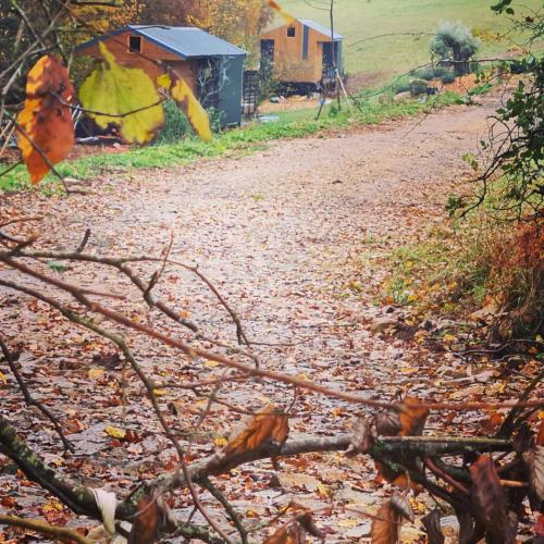 a dirt road with leaves on the ground at Le monde d'Echozellia in Saint-Germain-des-Champs