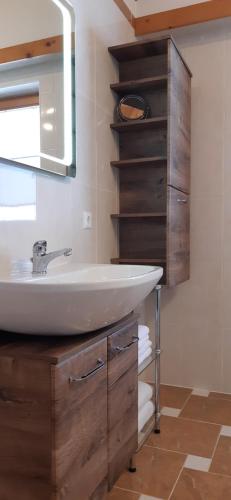 a bathroom with a sink and a mirror at Apartment Doll in Niederau