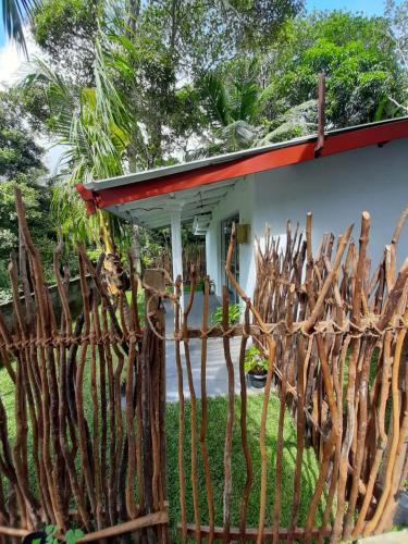 a fence of sticks in front of a house at Abinu"s Place in Dickwella
