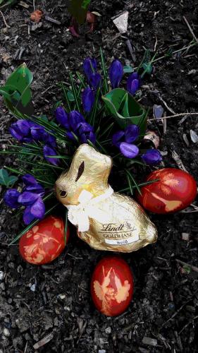 a statue of a rabbit next to some flowers at Ferienhaus Planetz in Kaindorf