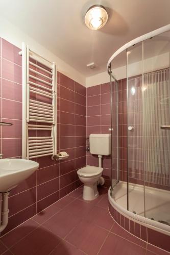 a bathroom with a toilet and a shower and a sink at Margaréta Apartman és Üdülőház in Bogács