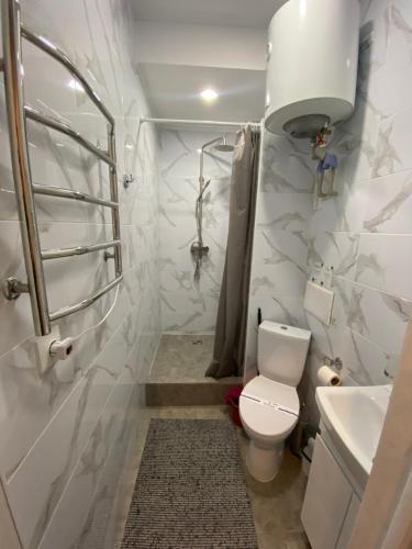 La salle de bains est pourvue de toilettes et d'un lavabo. dans l'établissement Lightroom, à Kharkov