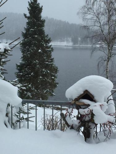 Schluchsee, Villa Seepark v zimě