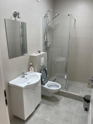 a bathroom with a shower and a toilet and a sink at Apartament centrul vechi in Baia Mare