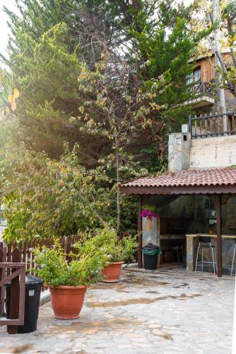 a patio with potted plants in front of a house at Pinecone Platres - 3 Units in Platres