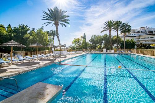 Fotografie z fotogalerie ubytování CL- 1 bedroom walking distance to Puerto Banus v destinaci Marbella