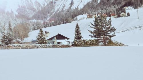 a house on a snow covered slope with trees at Villa Emilia in Kals am Großglockner
