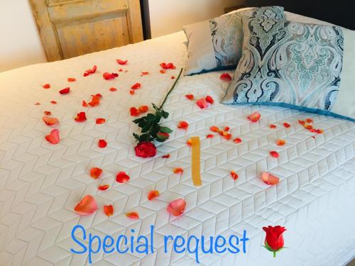 a cake with red flowers on a bed at Studio Clematis Bergen in Bergen