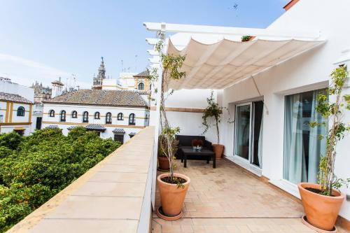 Gallery image of Hotel Boutique Elvira Plaza in Seville