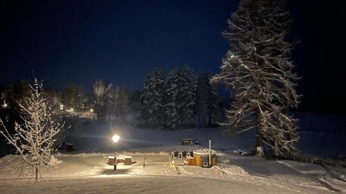 a park covered in snow at night with a tree at Projekt Schwedenalm in Furudal
